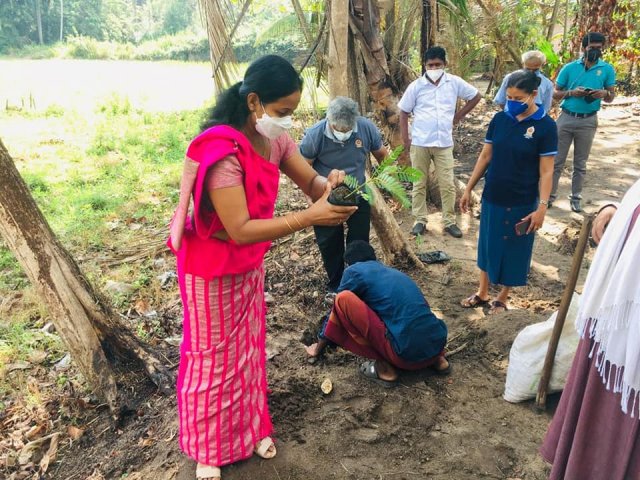 ‘Haritha Deyak’ National Home Gardening Program